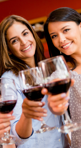 Untitled (275 × 600 px) Vinski turizam